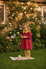 FunGuy Organic Knee Socks - Mushroom Toadstool Design - Kids Sizes - Slugs & Snails