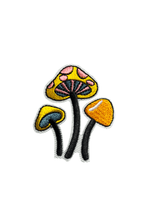 Mushroom and Toadstool Iron on Patches - Slugs & Snails