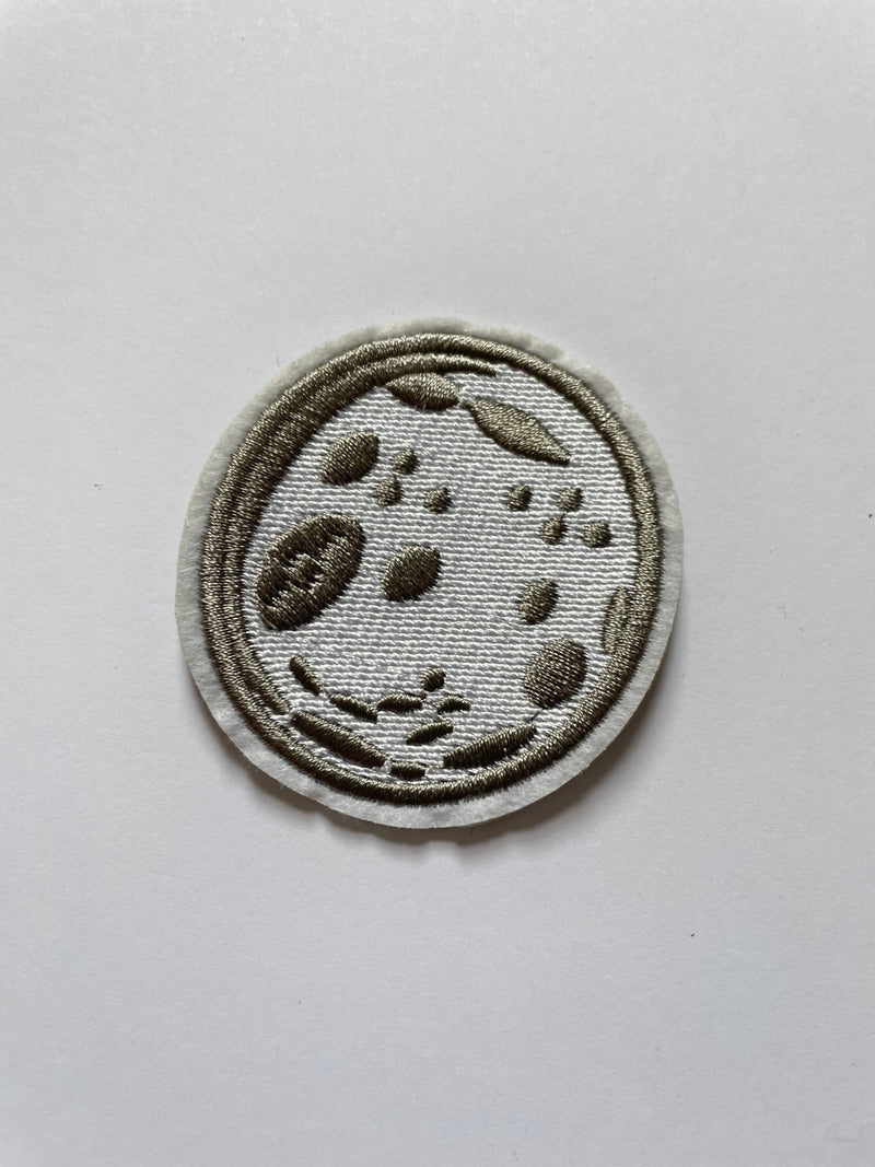 Space - Slugs & Snails