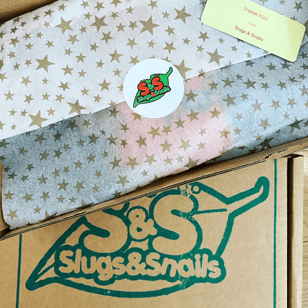 Gift Wrap/Gift Box - Slugs & Snails