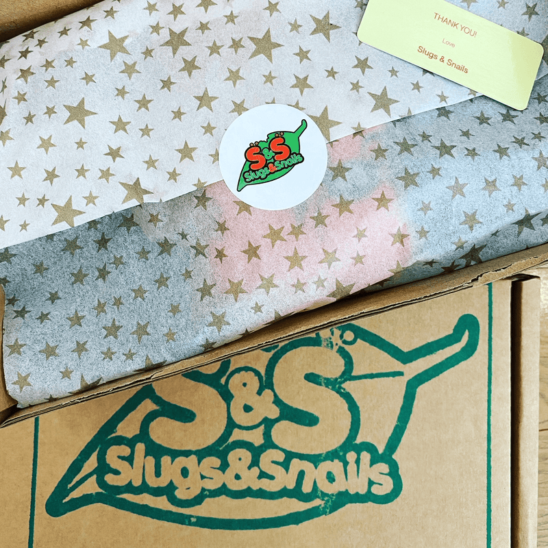 Gift Wrap/Gift Box - Slugs & Snails