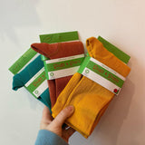 NEW SEASON Earth (Terracotta) Adult Block Colour Tights - Slugs & Snails